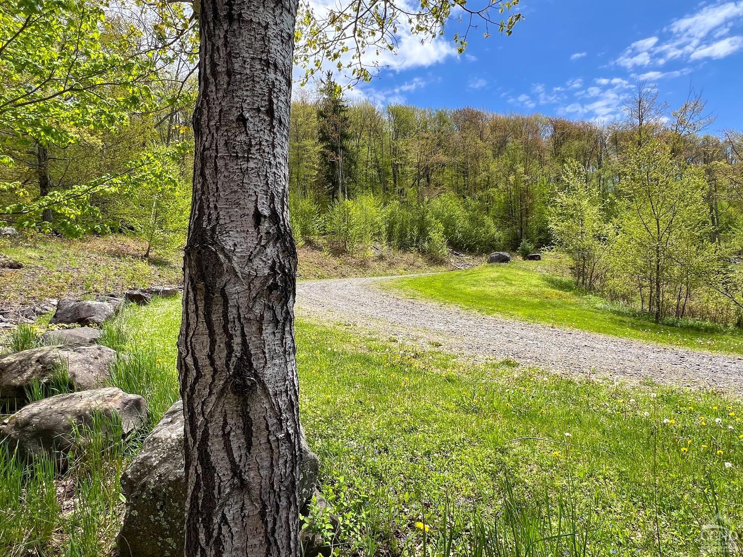 State Highway 28, Andes, New York image 8