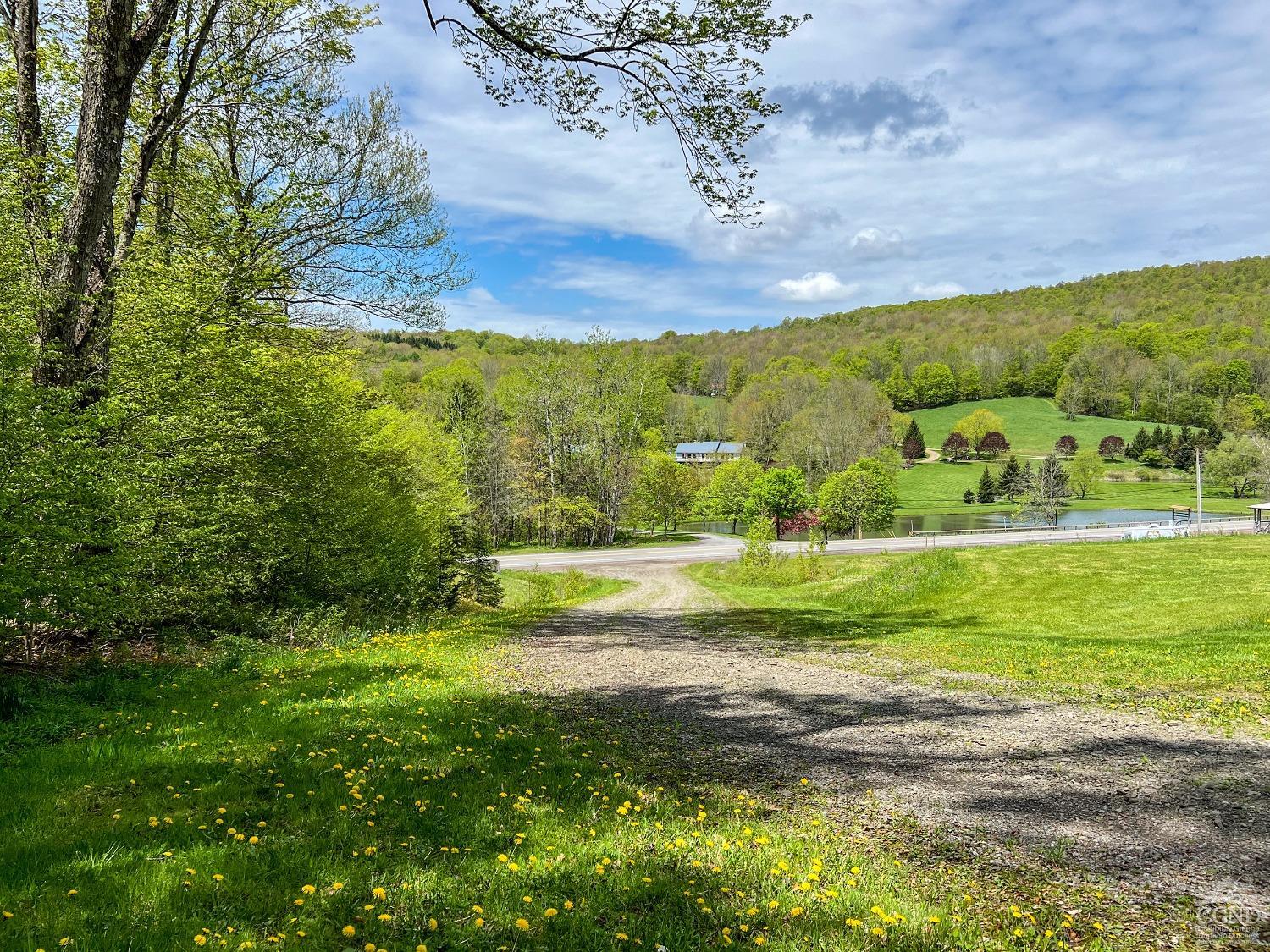 State Highway 28, Andes, New York image 5