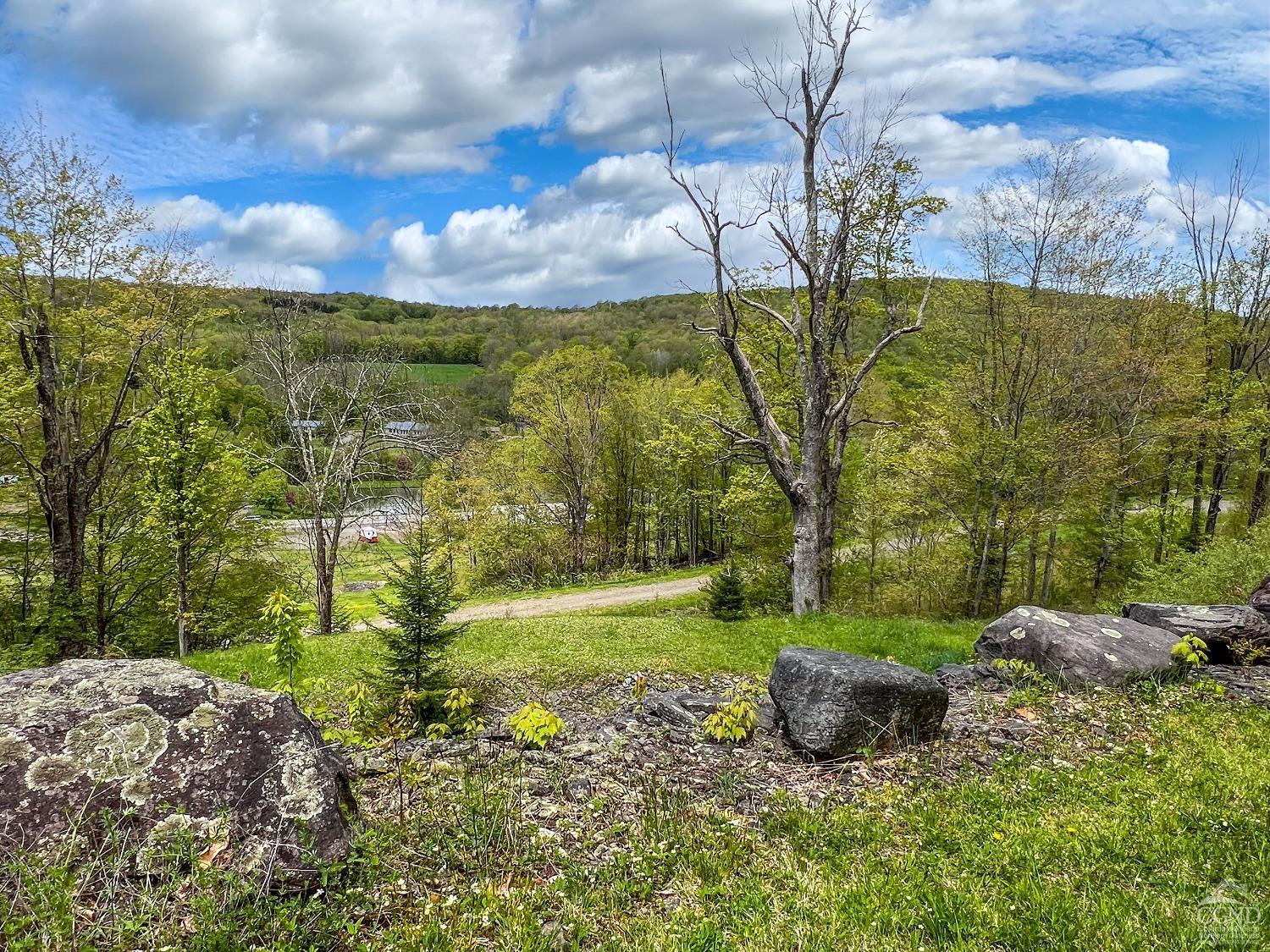 State Highway 28, Andes, New York image 14