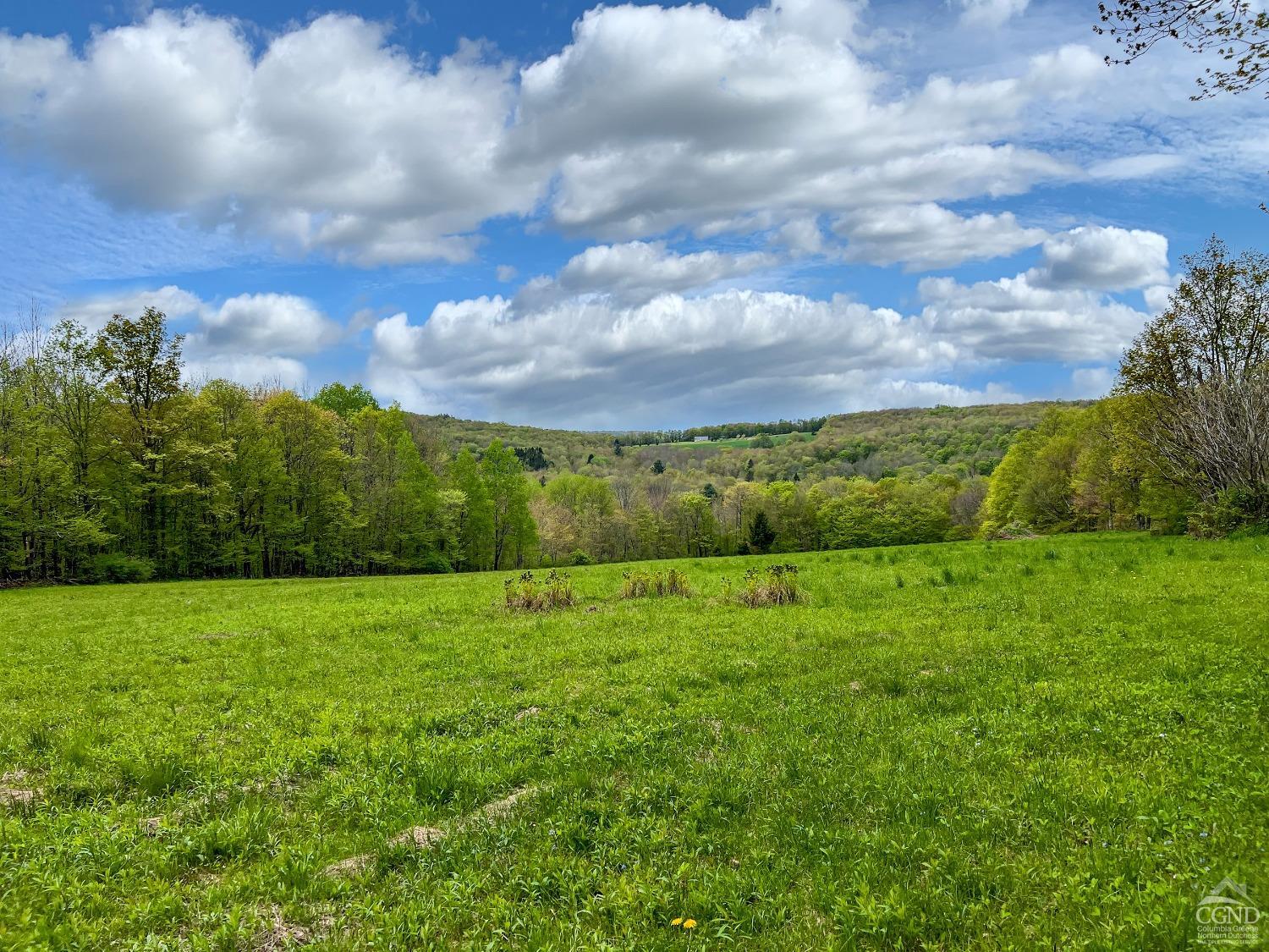 State Highway 28, Andes, New York image 31