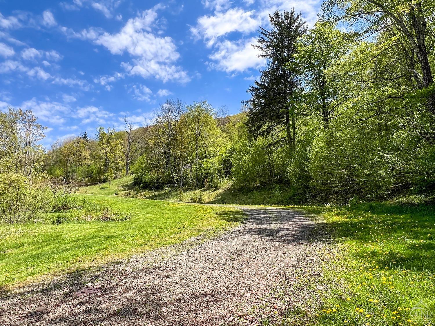 State Highway 28, Andes, New York image 3