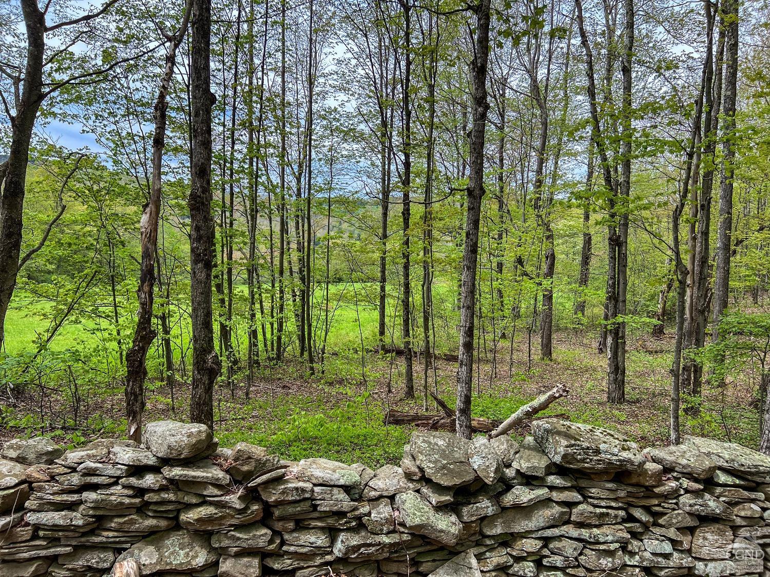 State Highway 28, Andes, New York image 35