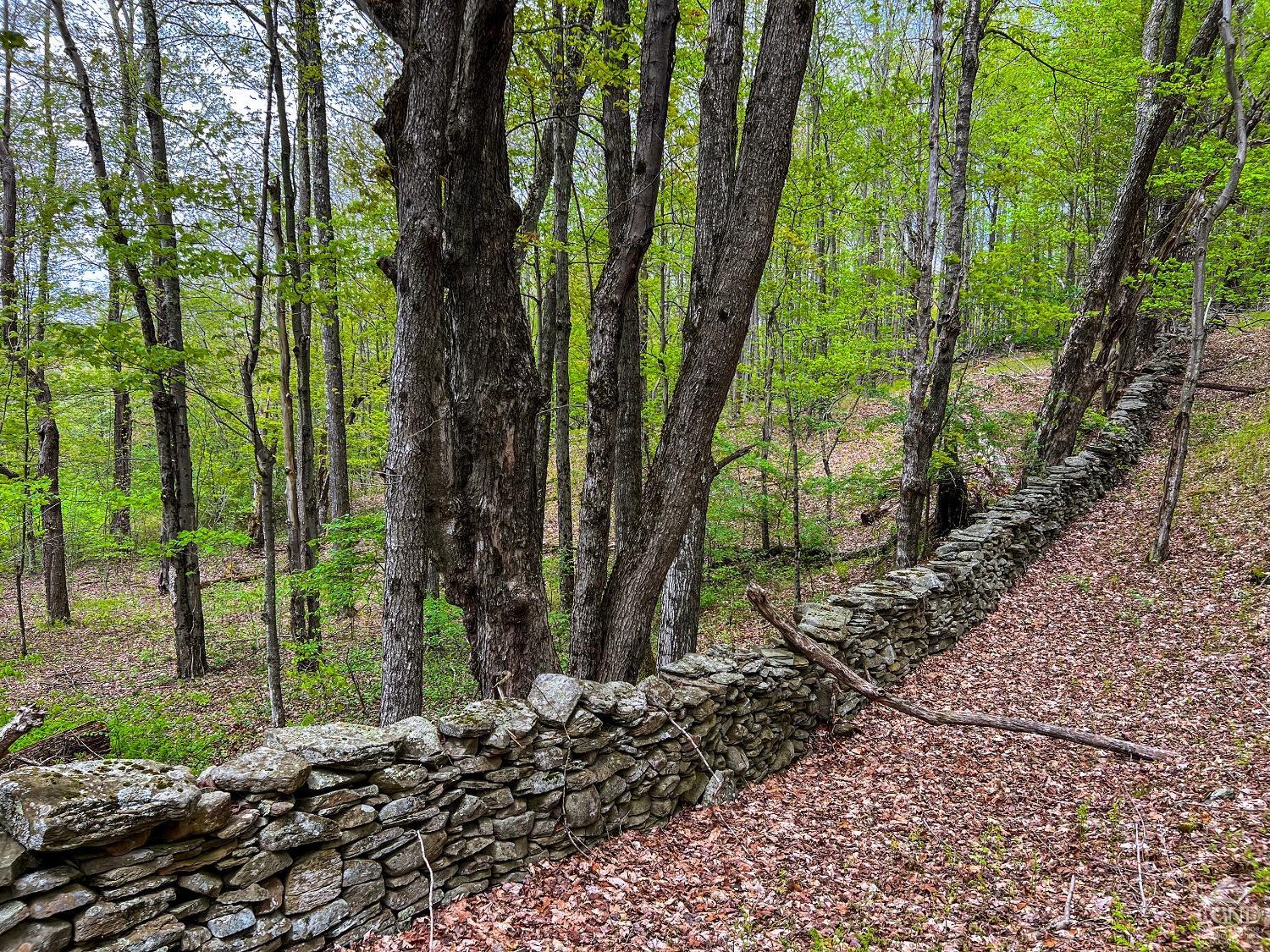 State Highway 28, Andes, New York image 36