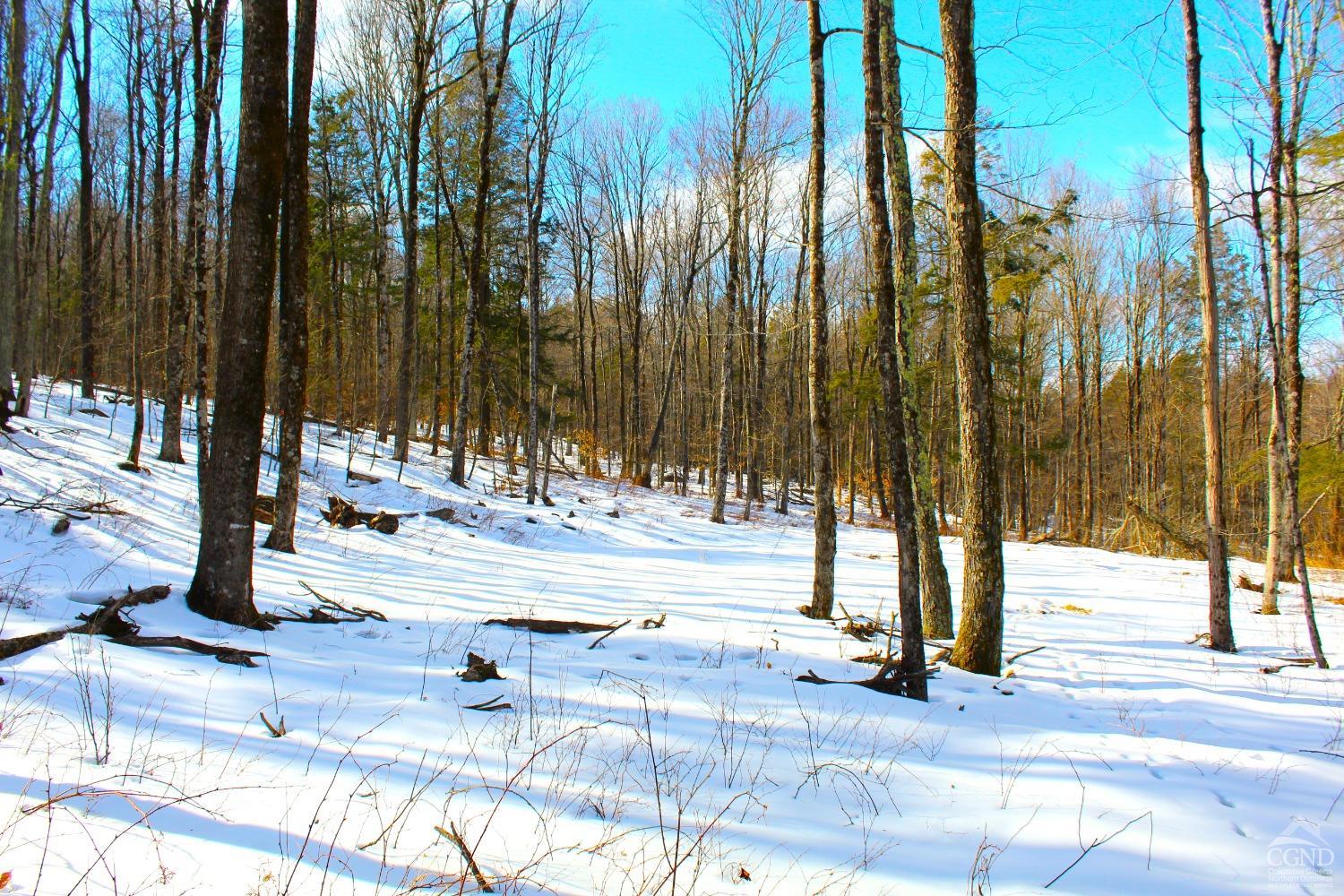 380 Terrace Drive, Lexington, New York image 10