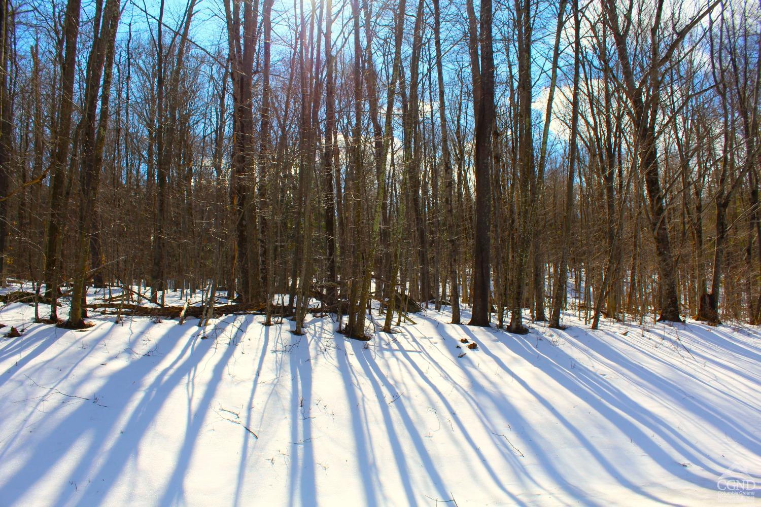 380 Terrace Drive, Lexington, New York image 1