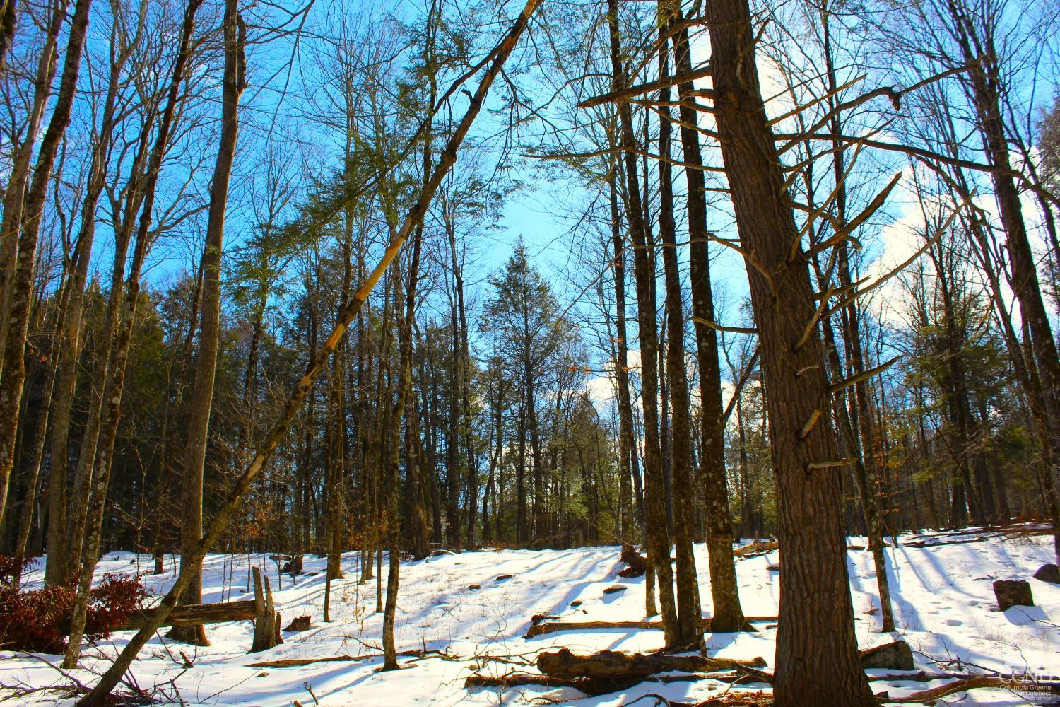 380 Terrace Drive, Lexington, New York image 5