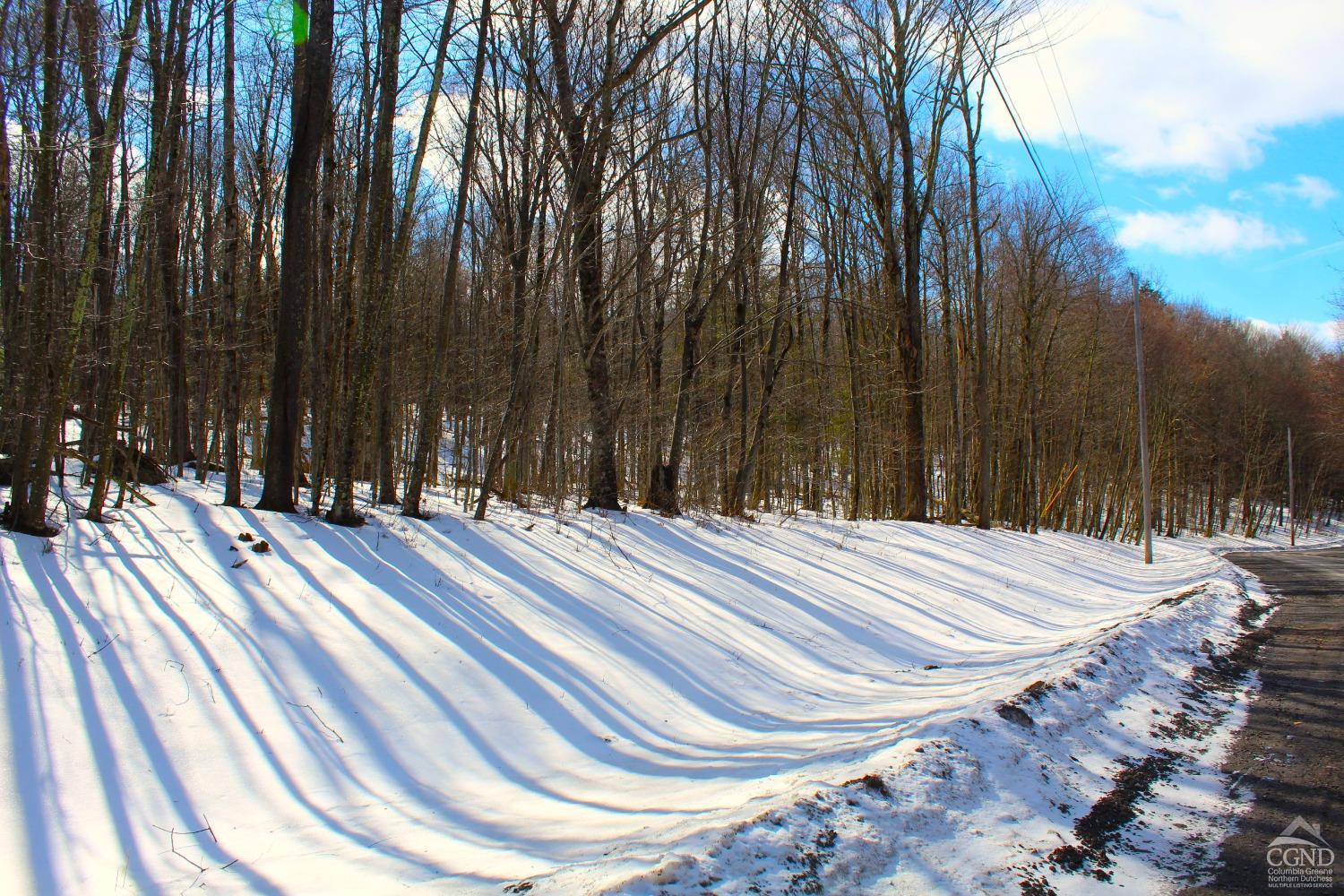 380 Terrace Drive, Lexington, New York image 3