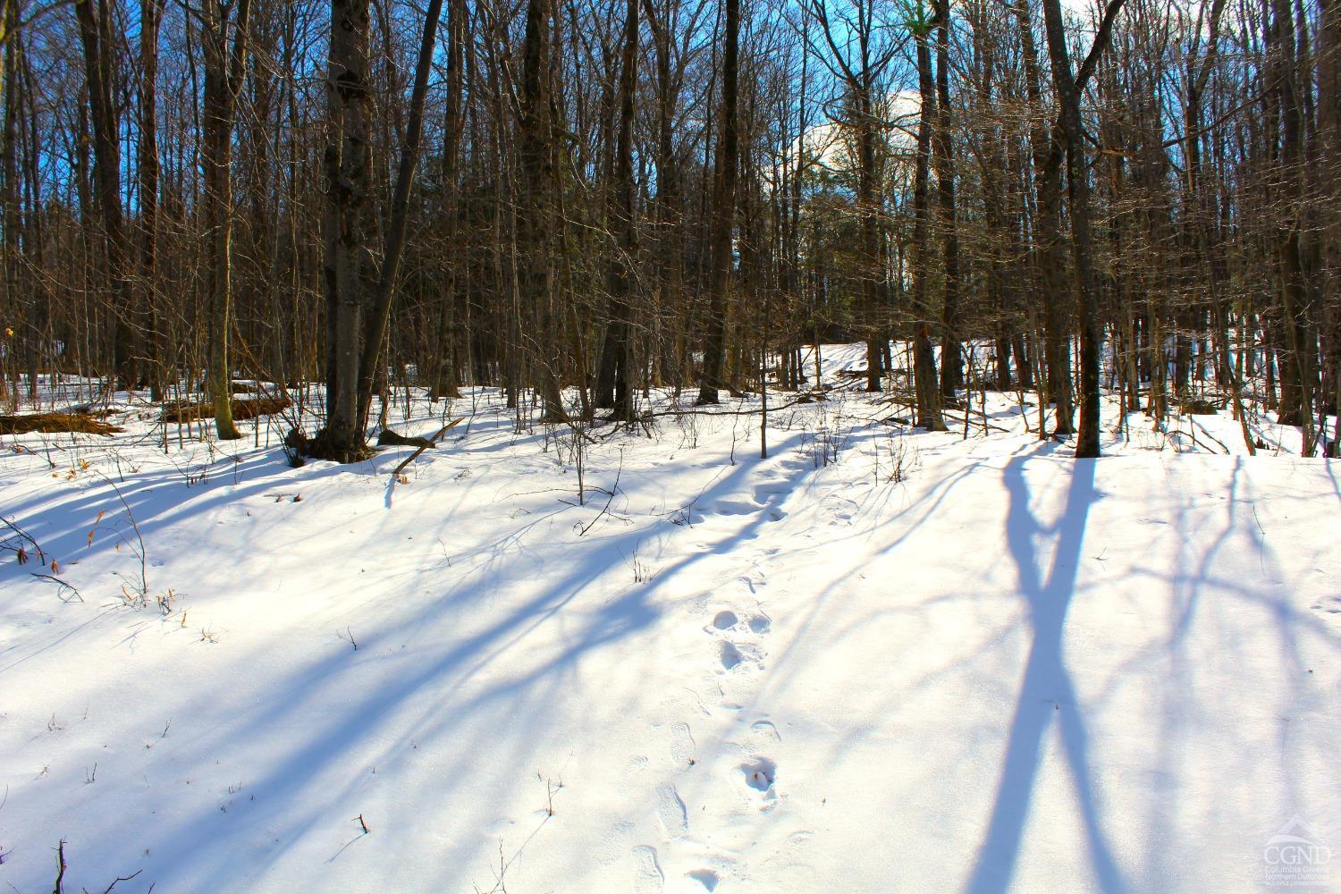 380 Terrace Drive, Lexington, New York image 4