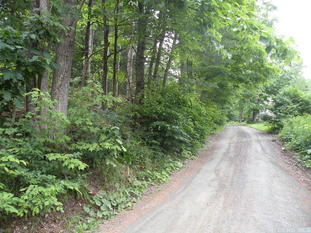 Frenchs  Hill Road, New Lebanon, New York image 3