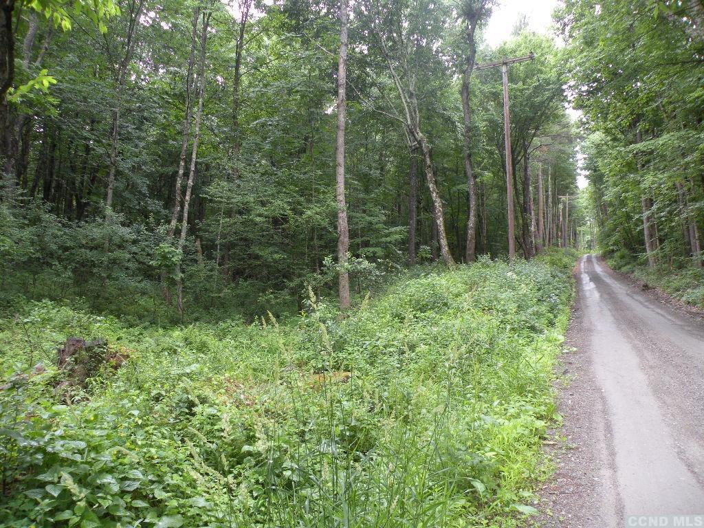 Frenchs  Hill Road, New Lebanon, New York image 4