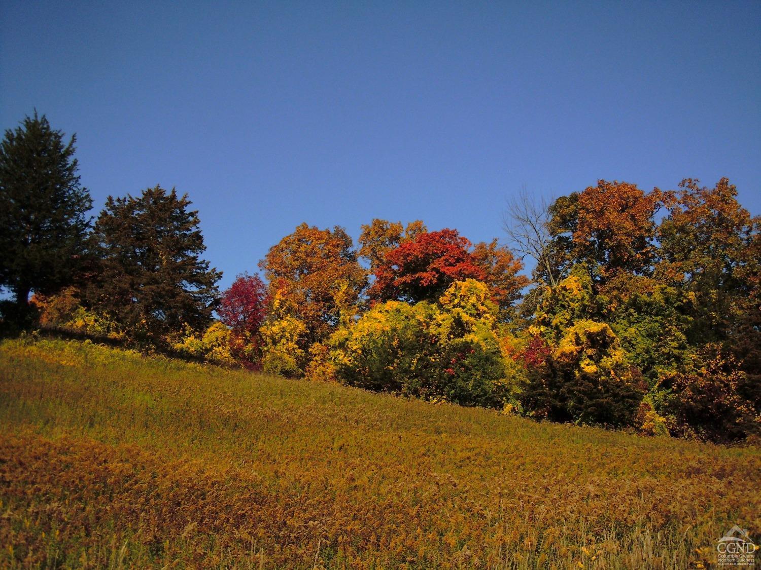 22 Decocco, Selkirk, New York image 16