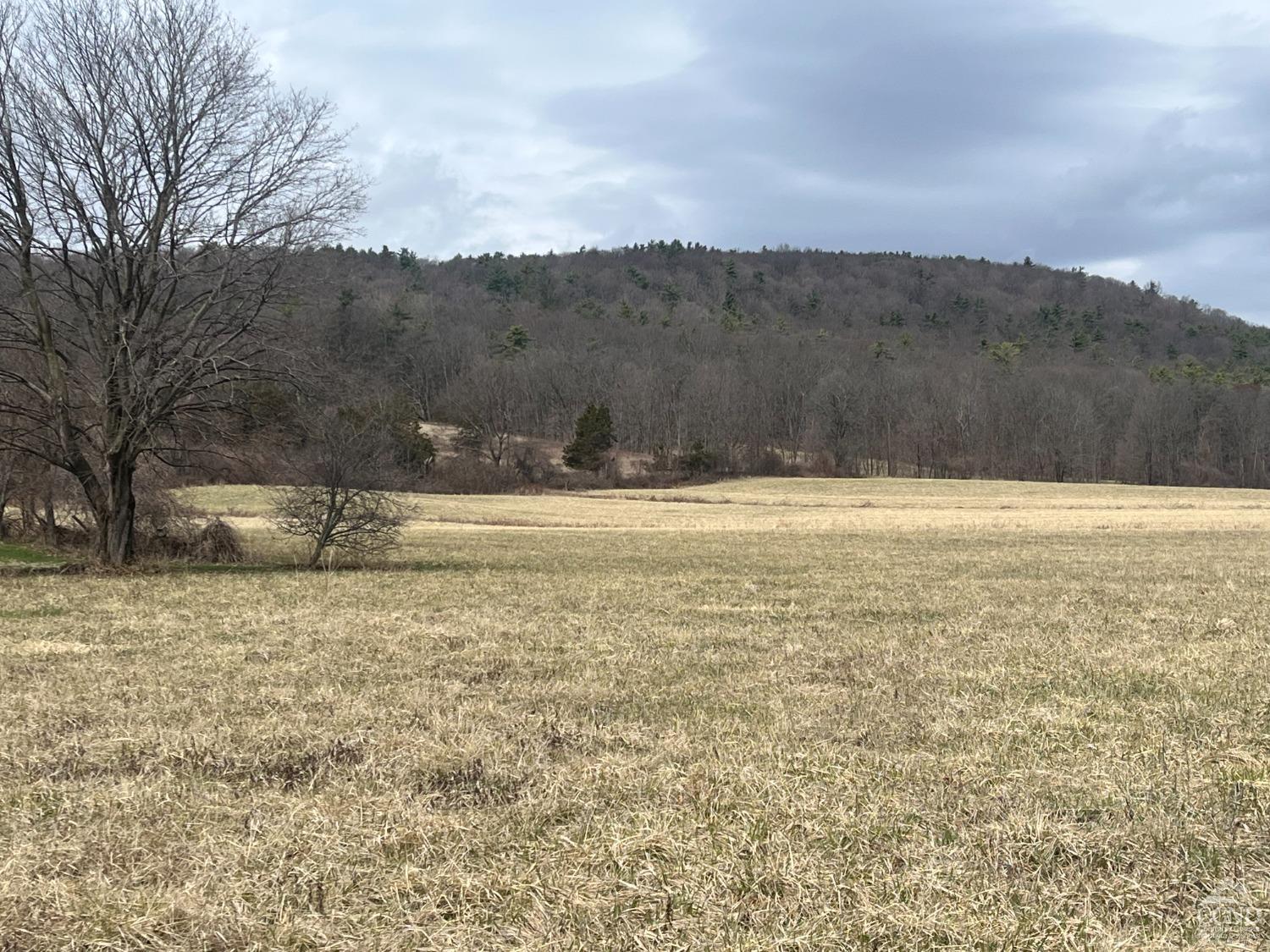 22 Decocco, Selkirk, New York image 7