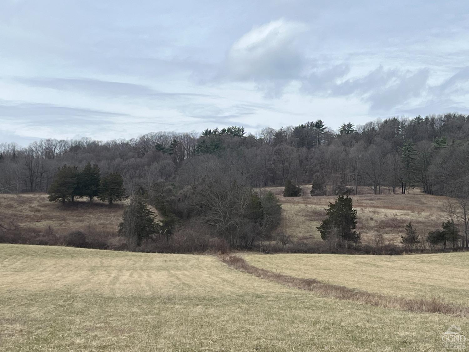 22 Decocco, Selkirk, New York image 43
