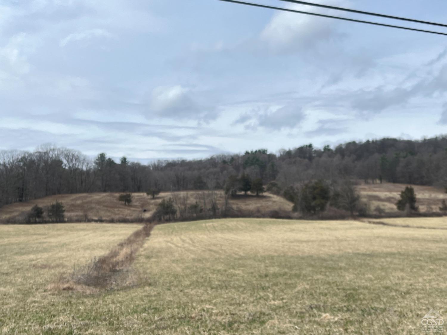 22 Decocco, Selkirk, New York image 42