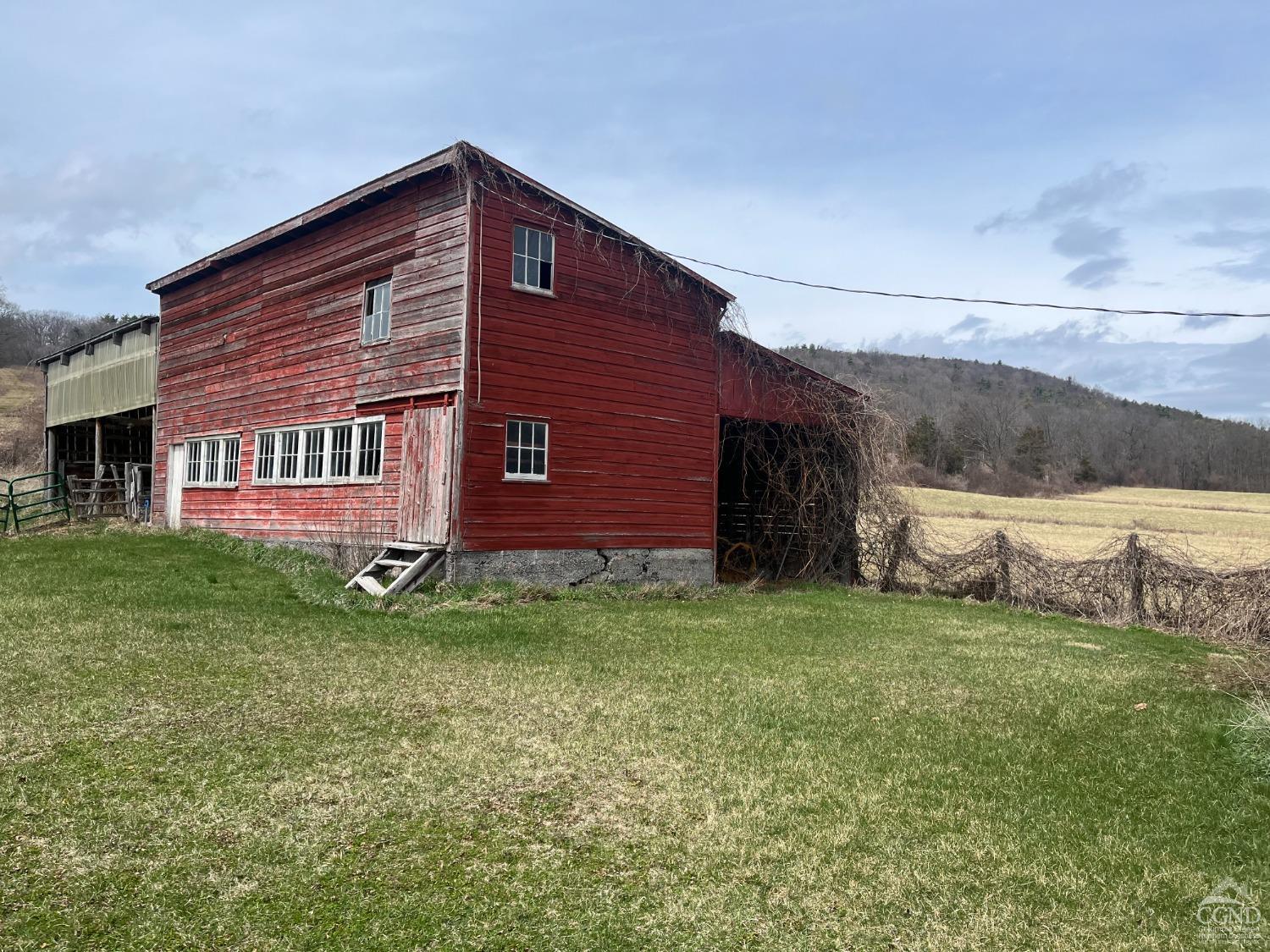 22 Decocco, Selkirk, New York image 37