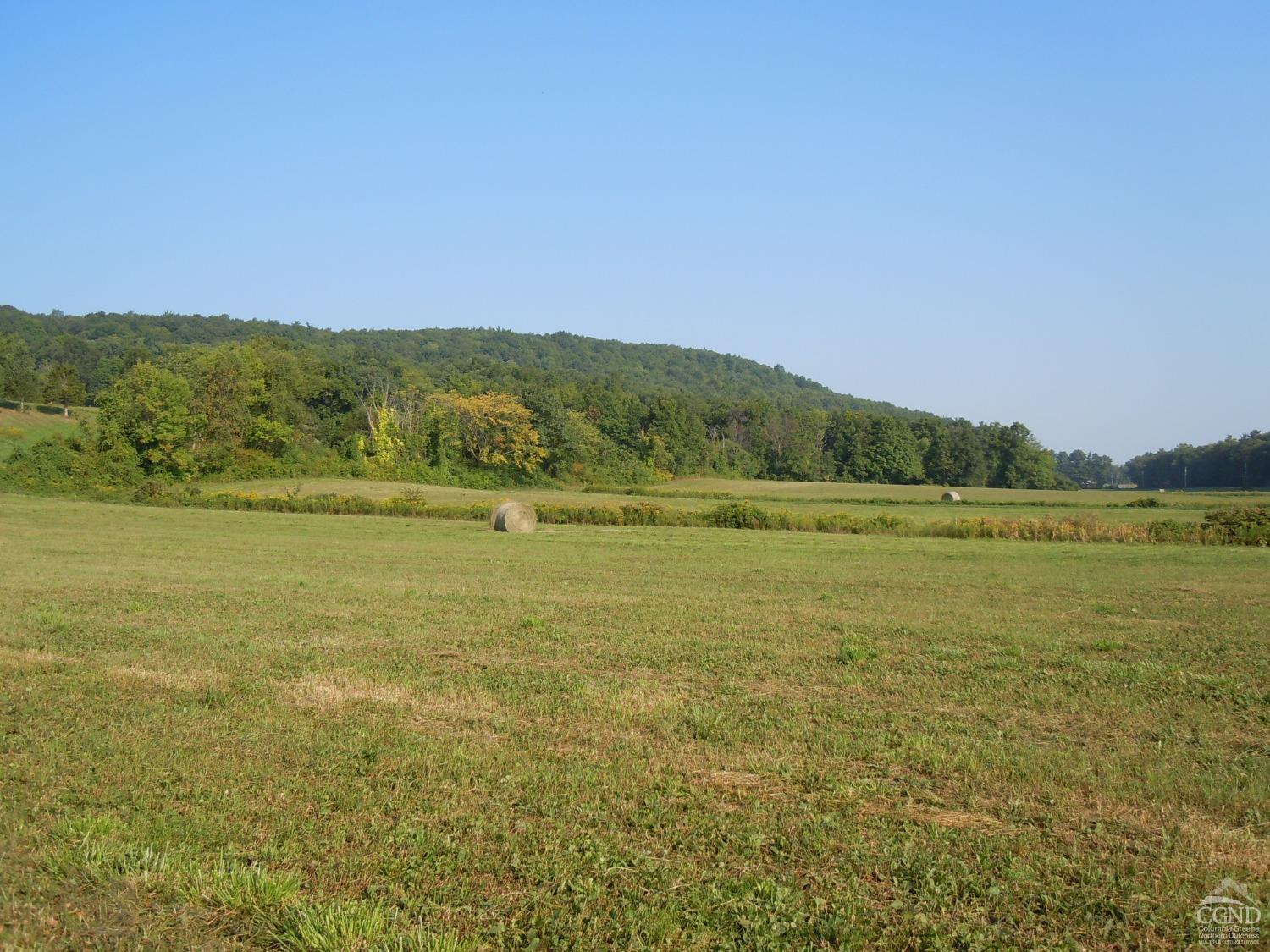 22 Decocco, Selkirk, New York image 12