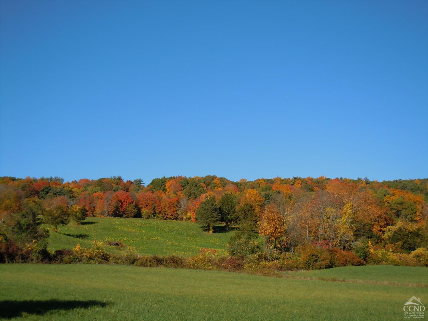 22 Decocco, Selkirk, New York image 14