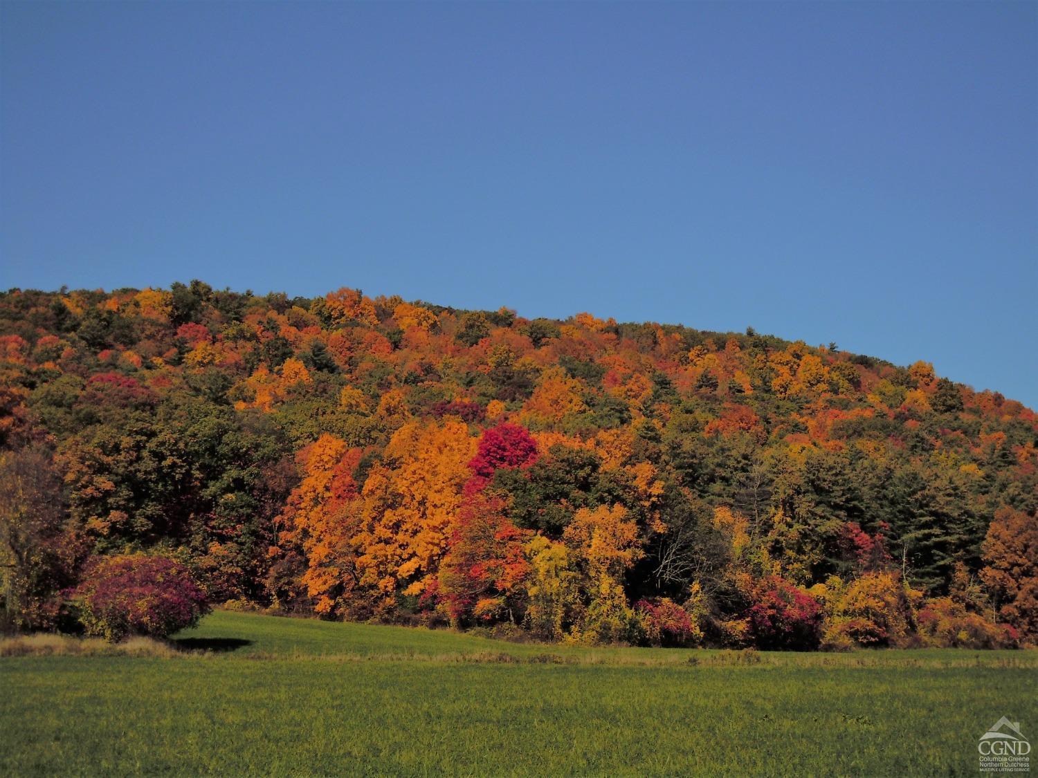 22 Decocco, Selkirk, New York image 8