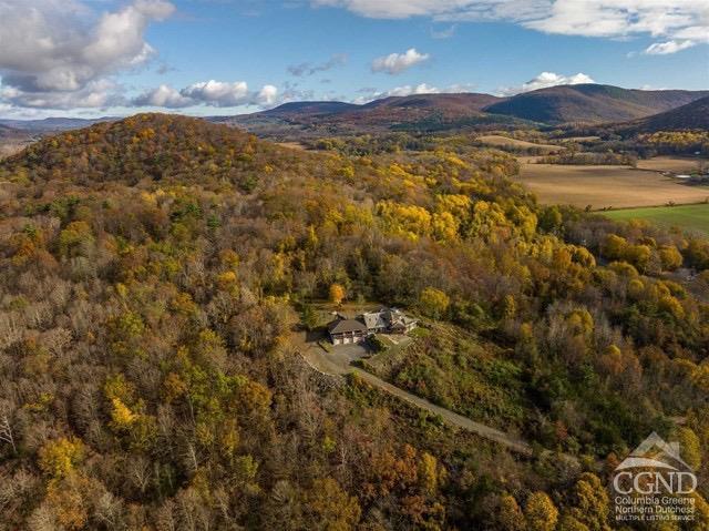 Property for Sale at 297 County Route 7A, Copake, New York - Bedrooms: 4 
Bathrooms: 4 
Rooms: 10  - $1,490,000