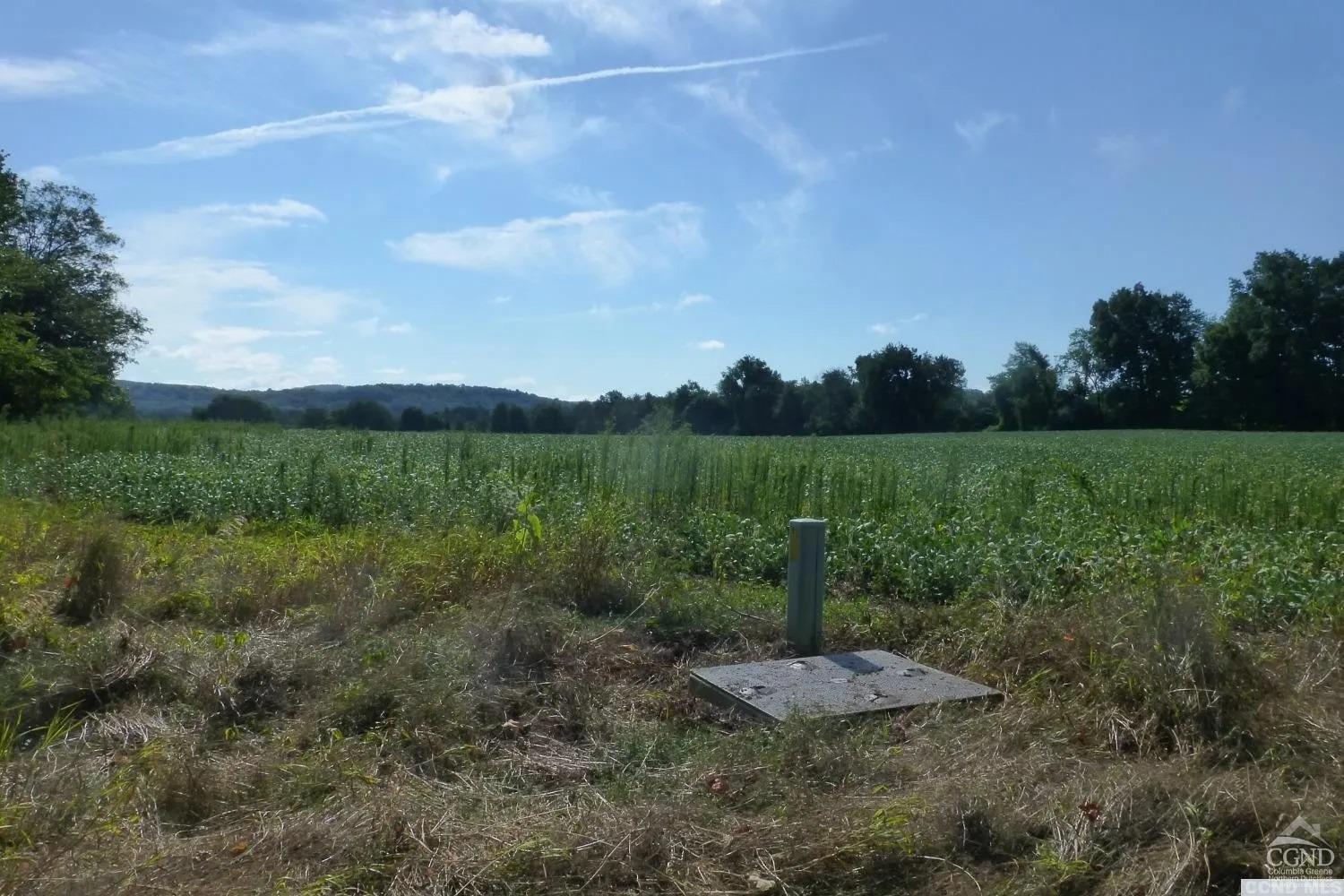 Dam Road Creek #3, Ancram, New York image 2