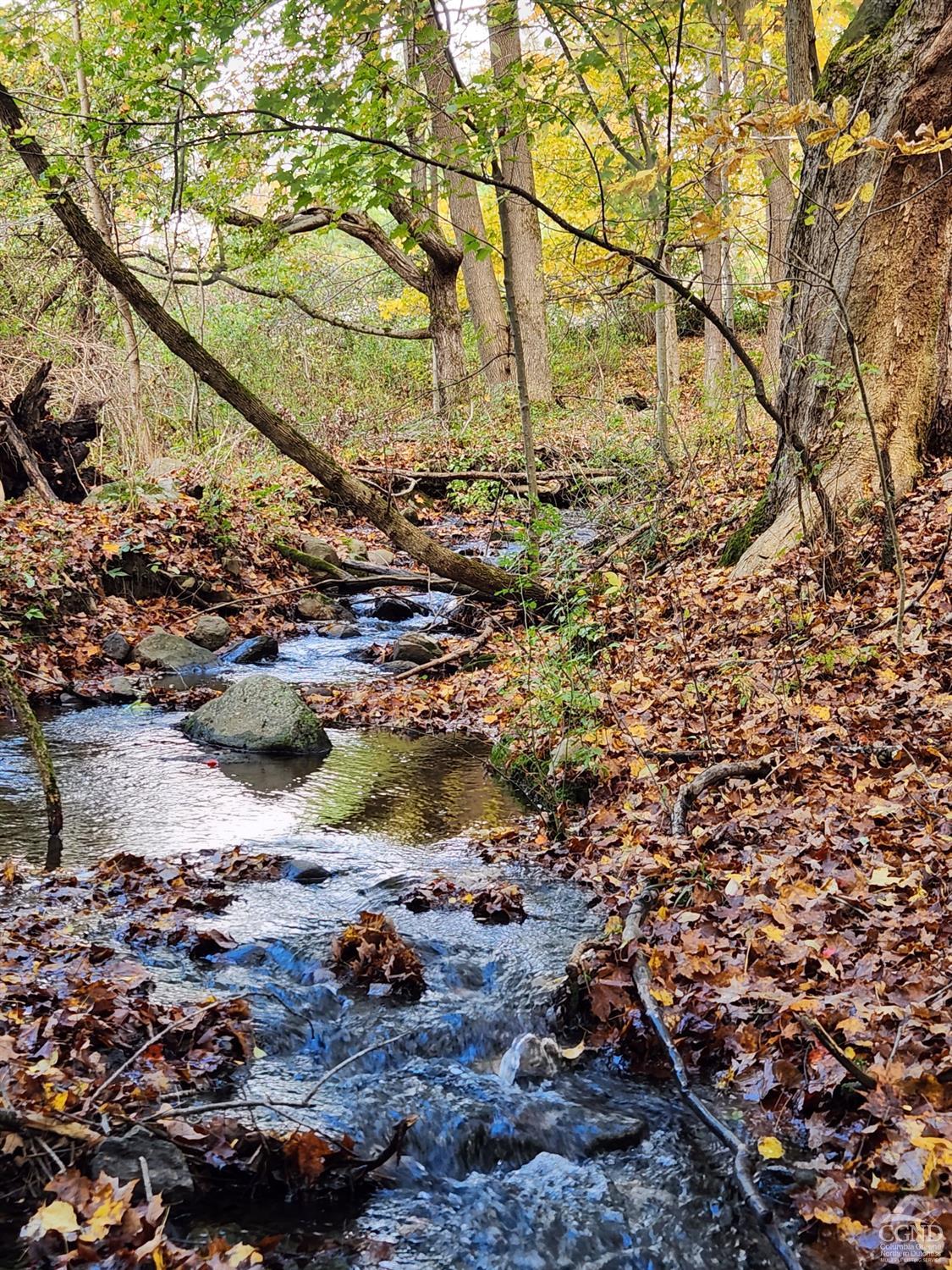 County Route 9 Road, New Lebanon, New York image 4