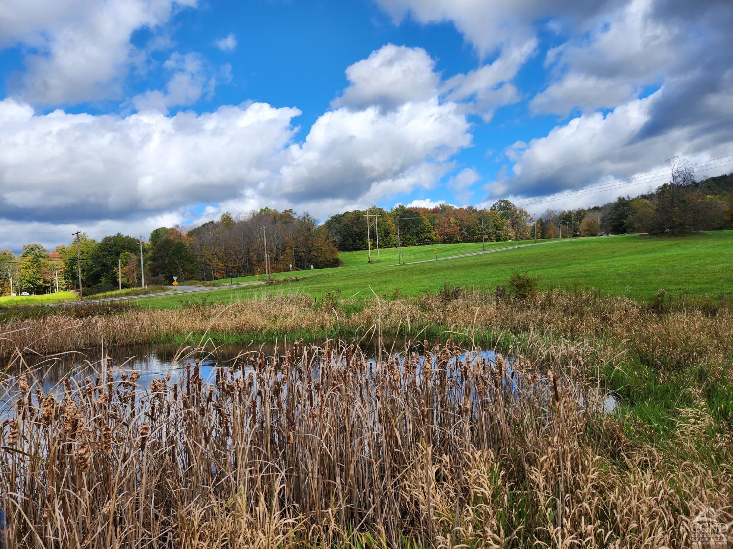 County Route 9 Road, New Lebanon, New York image 14