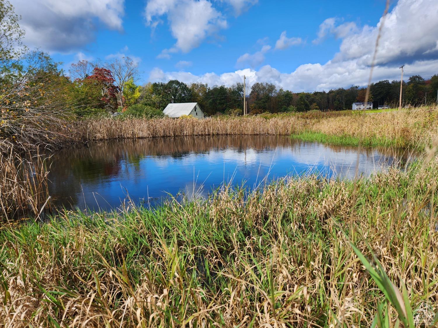 County Route 9 Road, New Lebanon, New York image 2