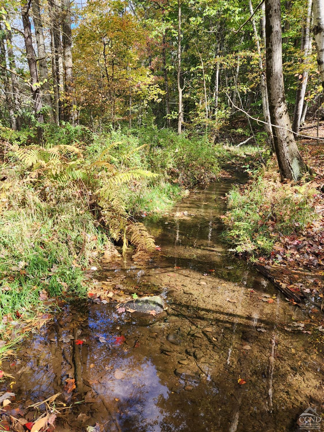 County Route 9 Road, New Lebanon, New York image 10