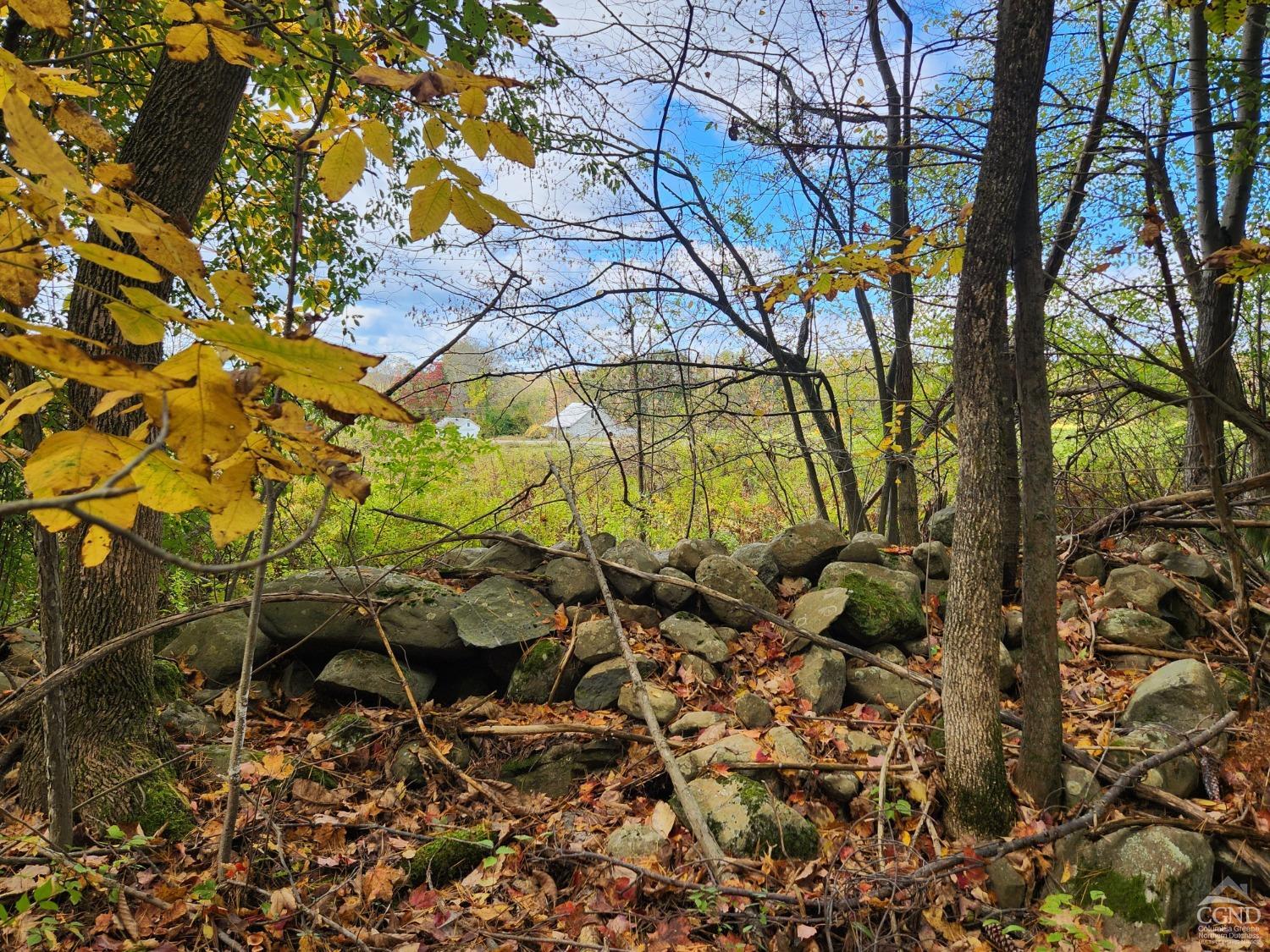 County Route 9 Road, New Lebanon, New York image 9