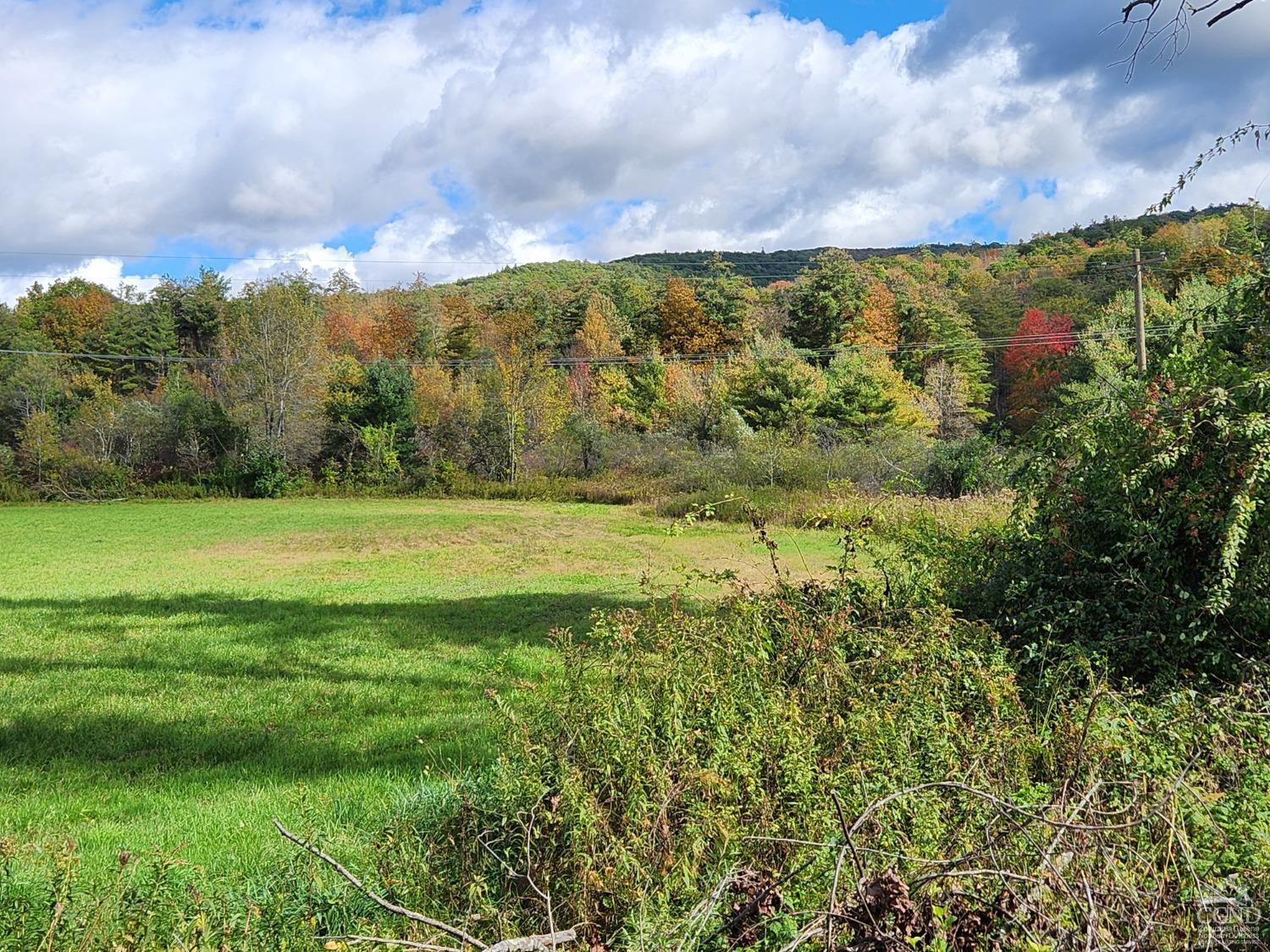 County Route 9 Road, New Lebanon, New York image 15