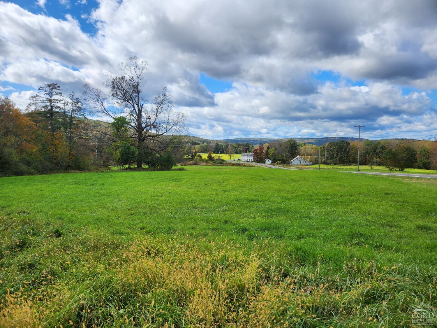 County Route 9 Road, New Lebanon, New York image 8