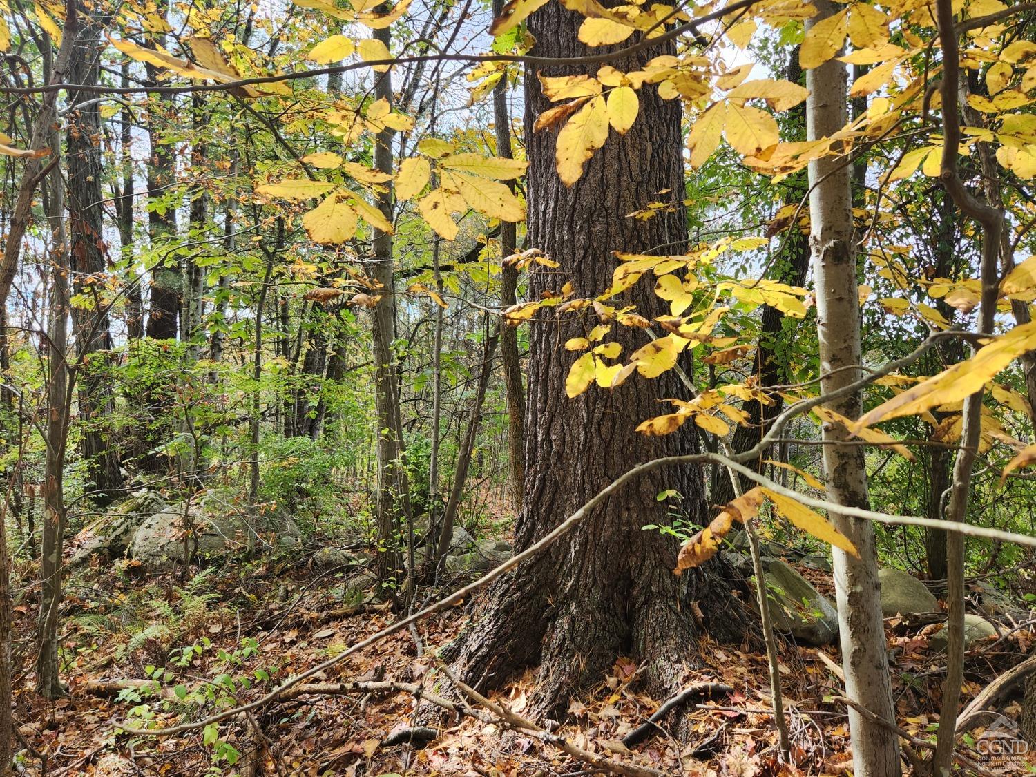 County Route 9 Road, New Lebanon, New York image 7