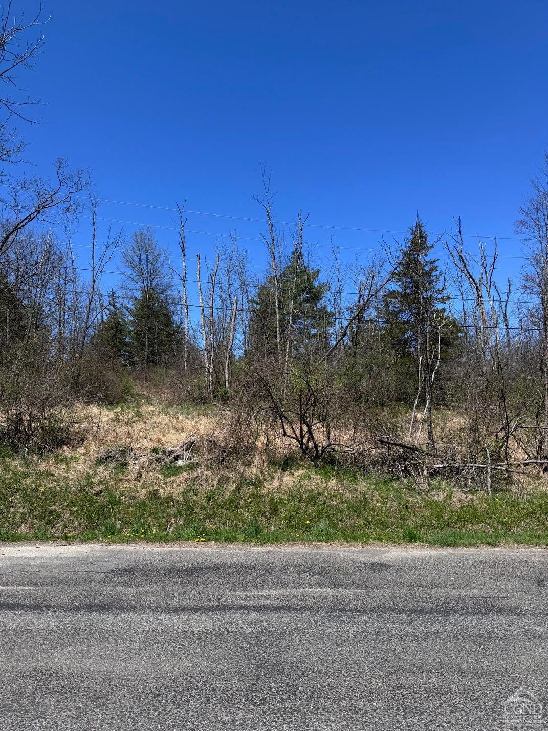 66 Vosenkill Road Extension Rd, Catskill, New York image 6