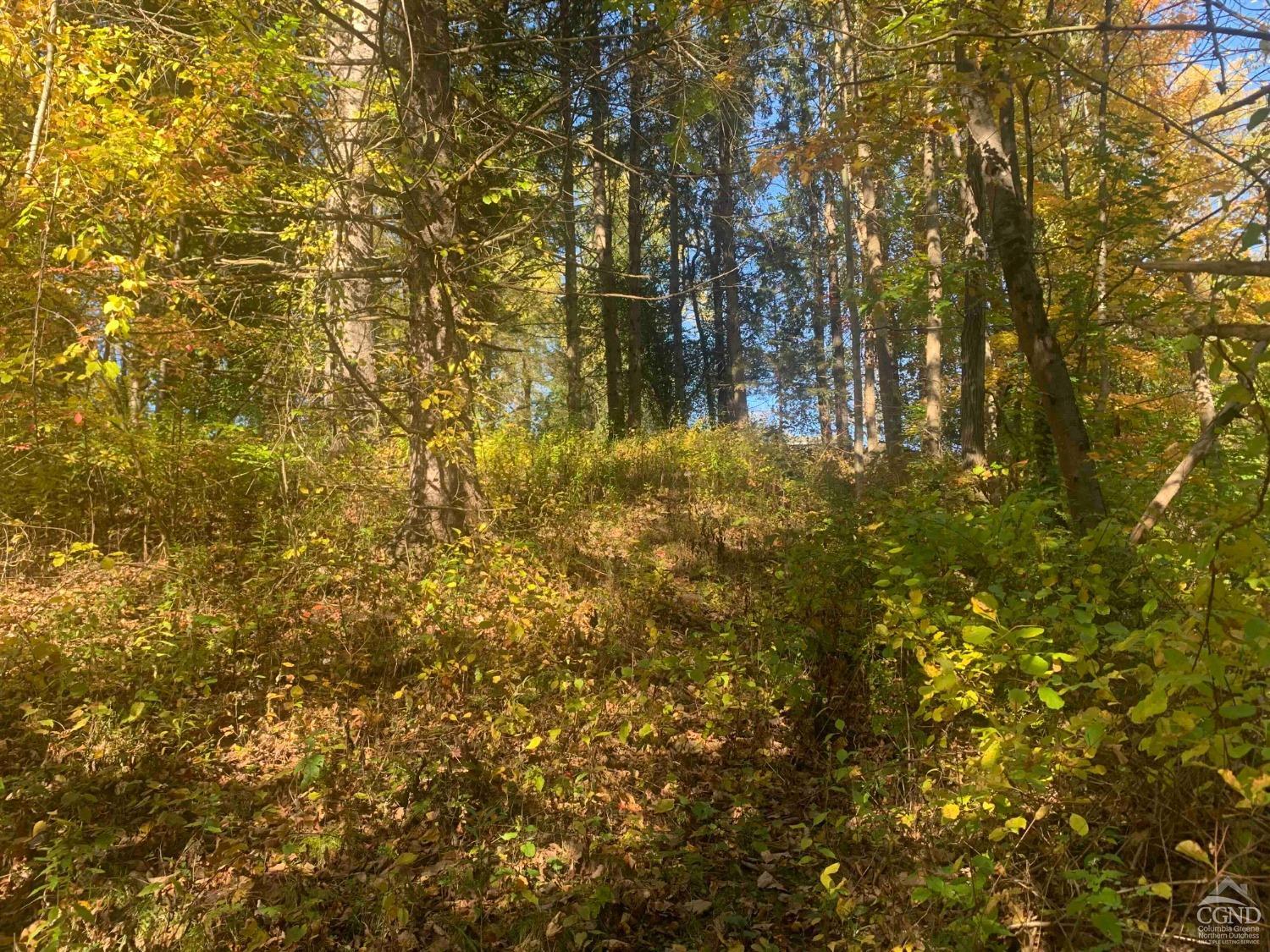 Millard Road, Schaghticoke, New York image 8