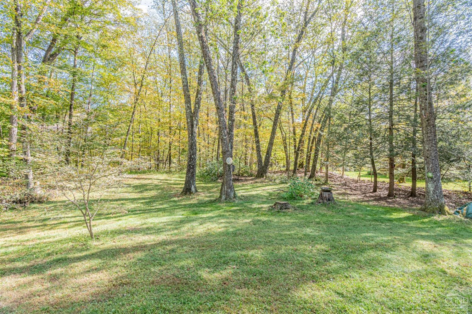 26 Matuk Drive, Hyde Park, New York image 28