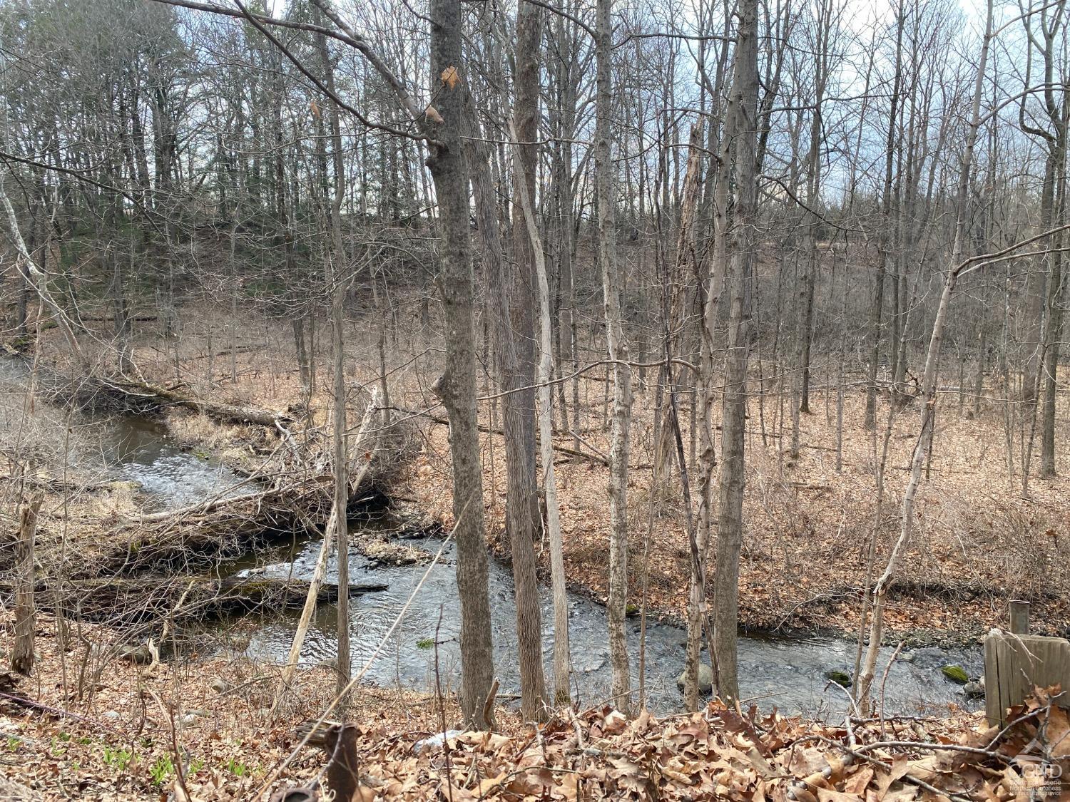 154 Schoolhouse Road, Claverack, New York image 14