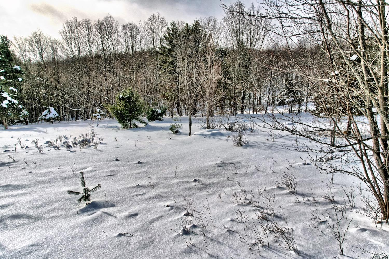 60 Blueberry Estates, Prattsville, New York image 14