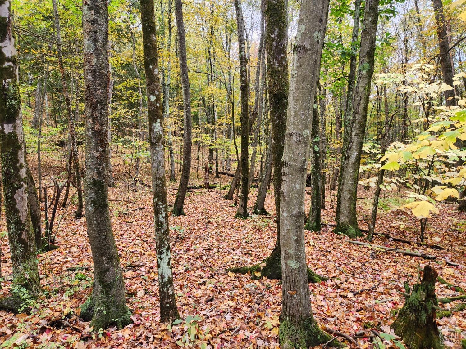 Avery Hand Lane, New Lebanon, New York image 4