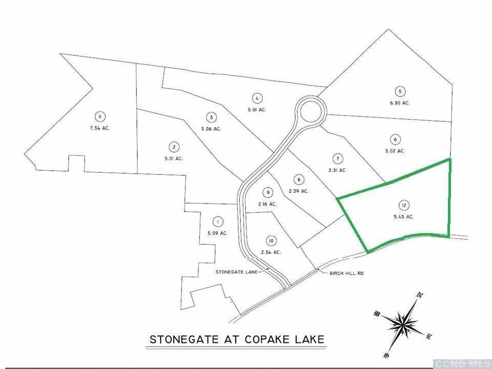 12 Birch Hill Road #LOT12, Copake, New York image 3