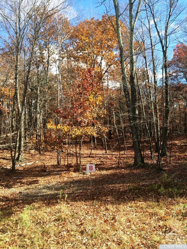 8 Stonegate Off Birch Hill Road #LOT 8, Copake, New York image 2