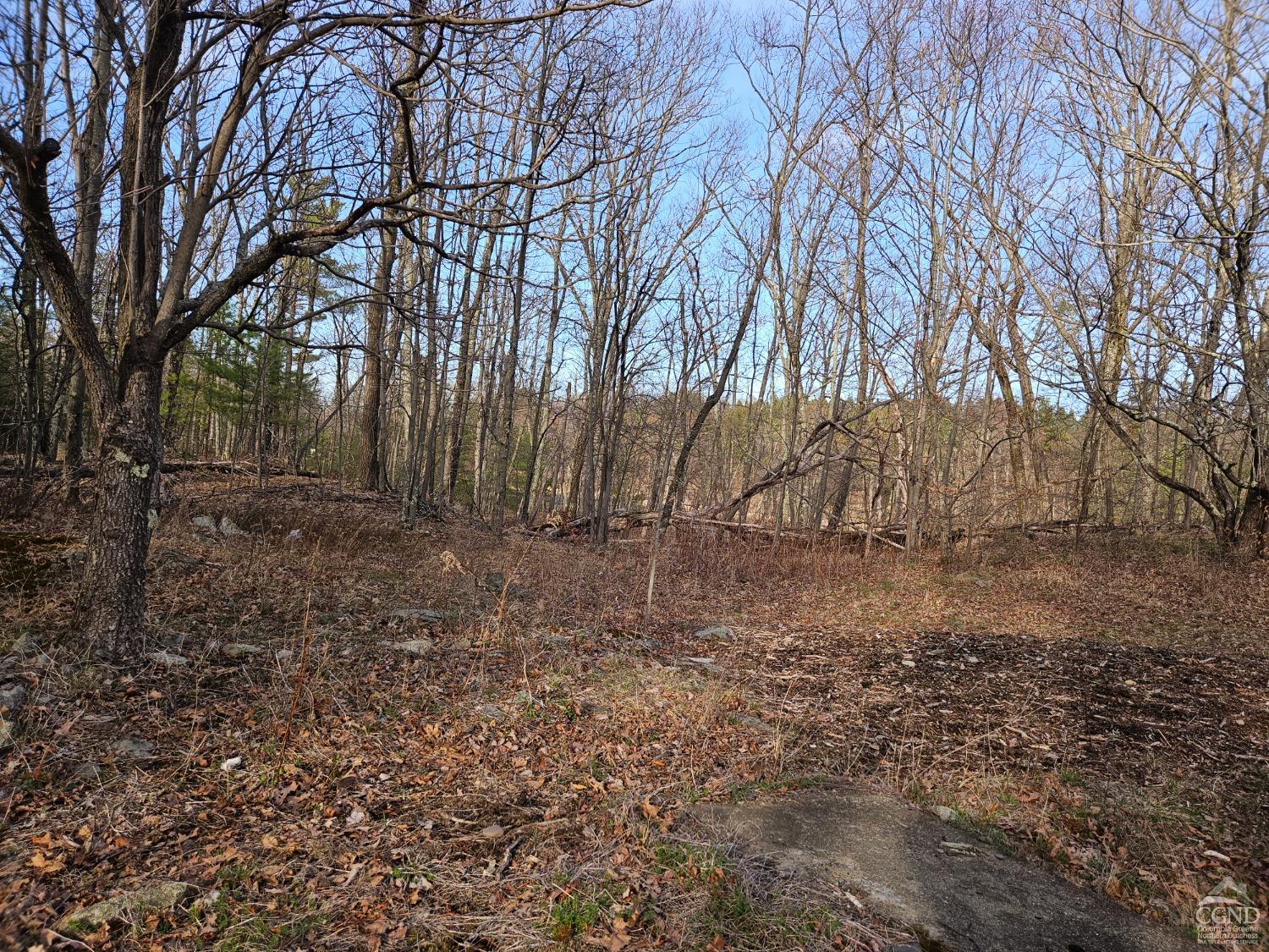 51 Dunbar Road, Hudson, New York image 11