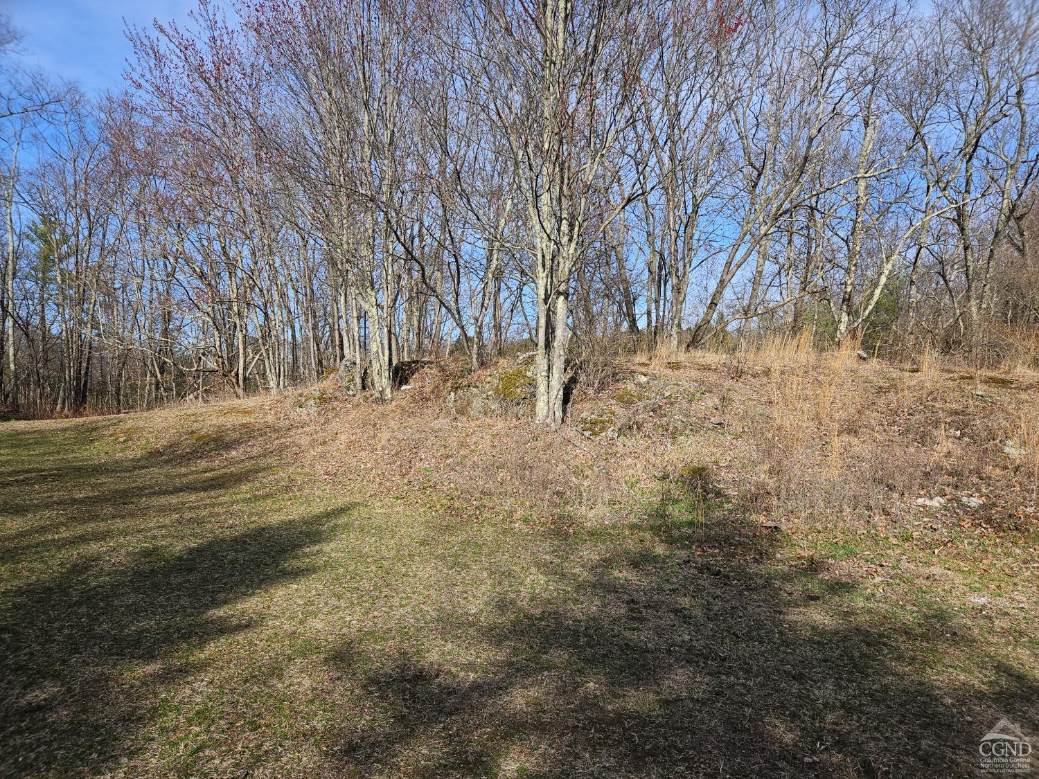 51 Dunbar Road, Hudson, New York image 4