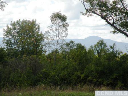 Lockwood Road, Livingston, New York image 1