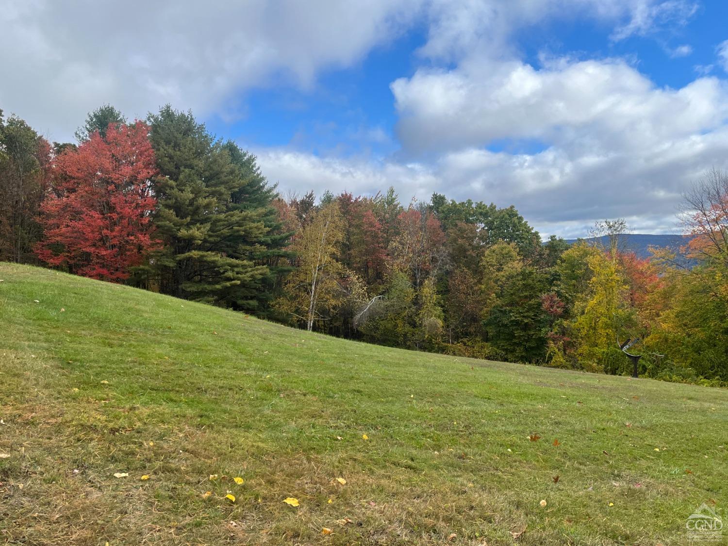 563 County Route 34 Creek #205, East Chatham, New York image 37