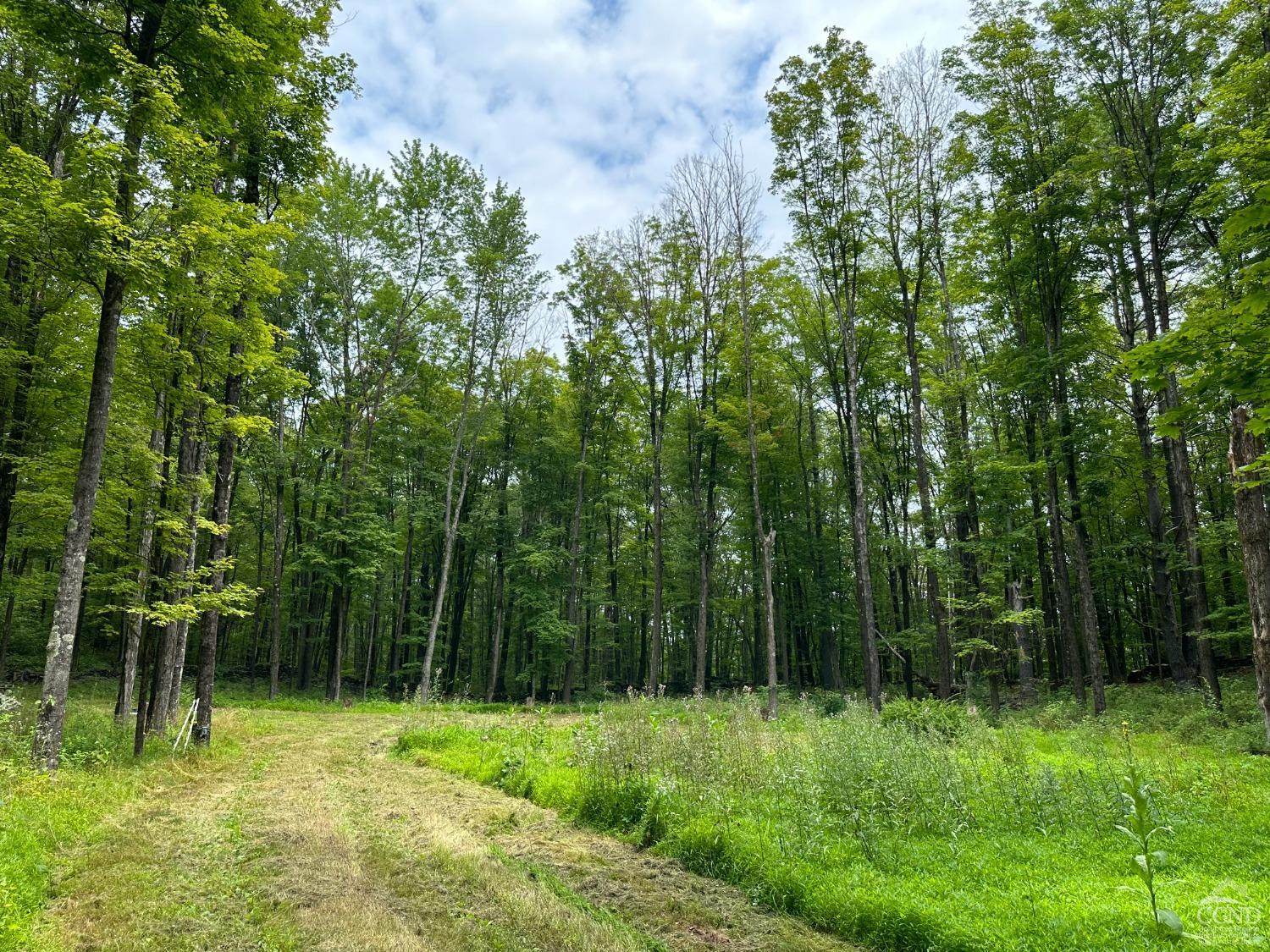 Rudolph Weir Junior Road, Earlton, New York image 3