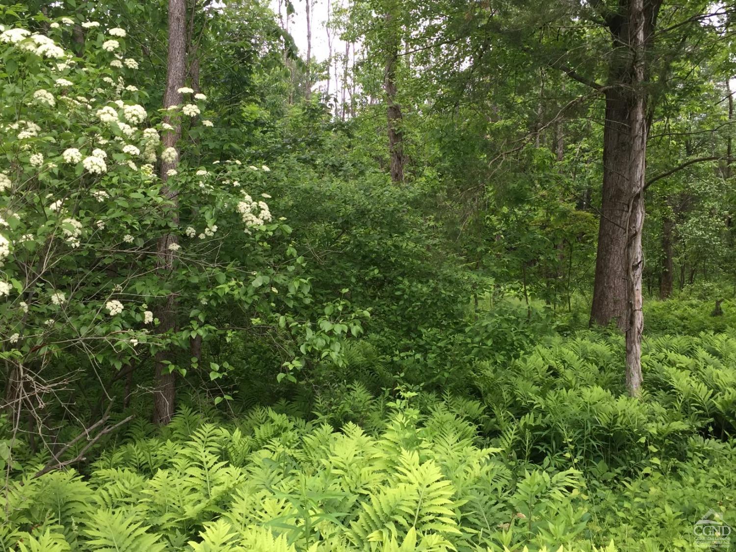 352 Round Top Rd Rd, Germantown, Texas image 37