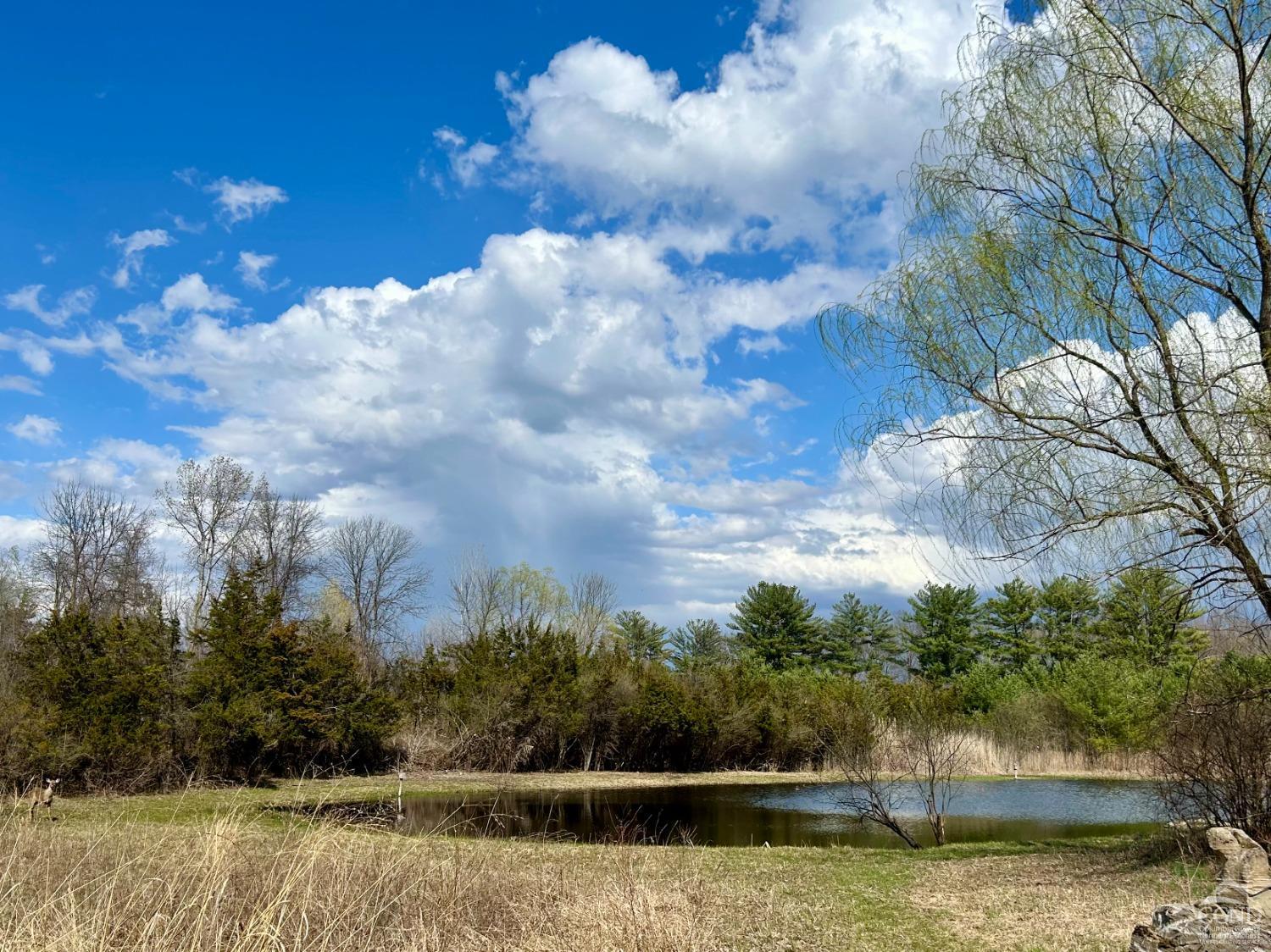 352 Round Top Rd Rd, Germantown, Texas image 38