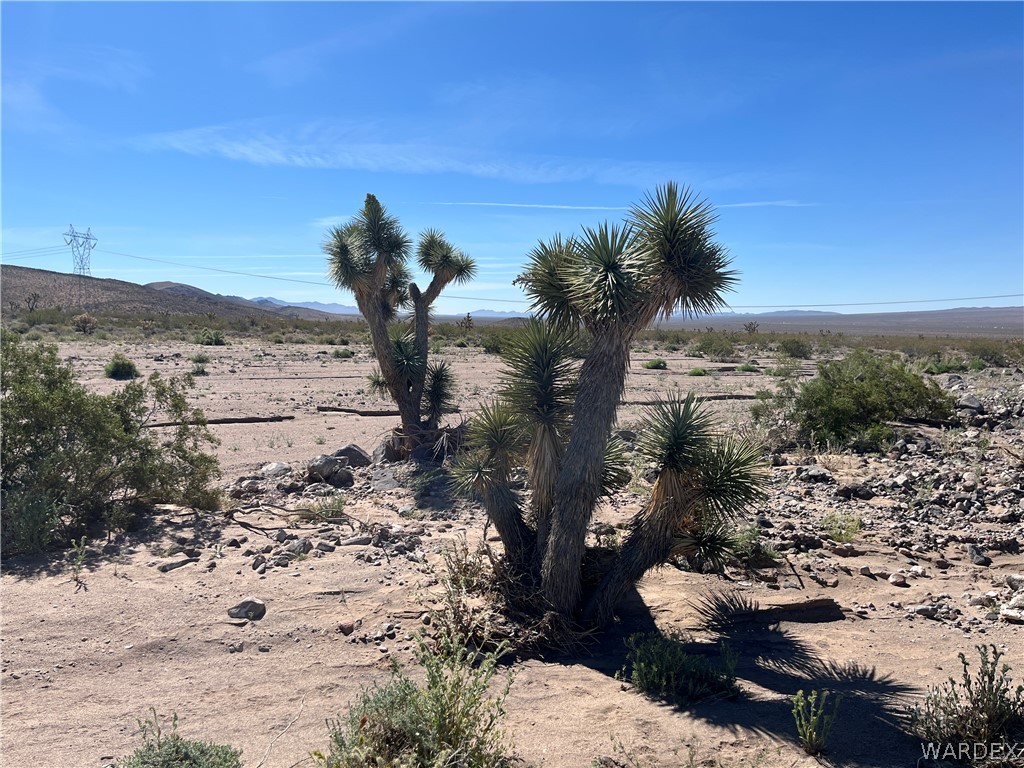 Lots 81,96 N Hitching Post Road