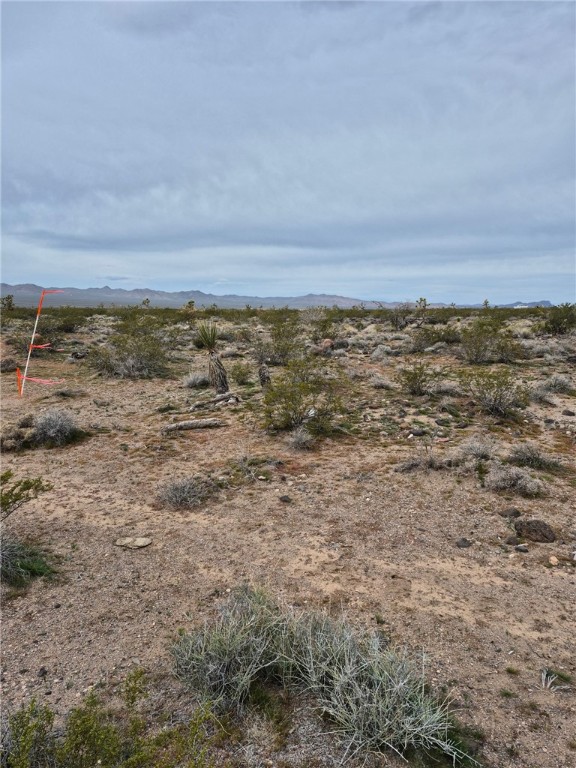 2 Lots N Hitching Post