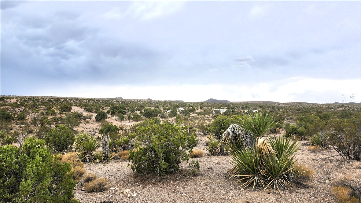 11353 N QUINTANA Road